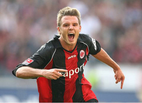 这不仅揭示 这不仅揭示